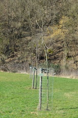 VergerOlne 43 vue-globale 2019-02-25 02