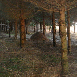 Ethologie