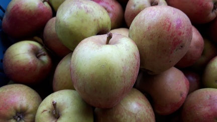 Gueule-de-Mouton Fete Pommes Modave 02-10-2016 04