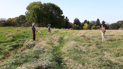 CDLT Piquetage verger 2017 19-10-2017 11