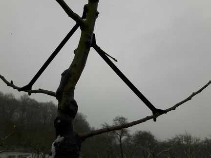 Poussoirs pour former architecture de l'arbre