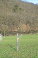 VergerOlne 42 20-02-21 02