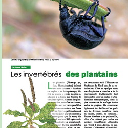 Bibliotheque PDF