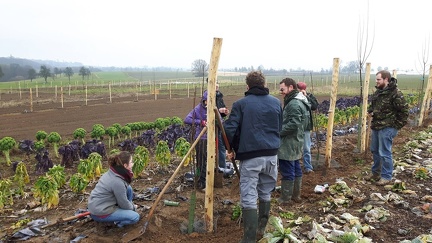 Plantation verger CDLT 17-02-2017 11