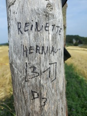 Reinette Hernaut HT Rang G1 16-08-2018 01