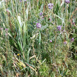 Formation Agribio HEPN Ciney