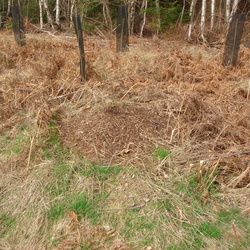Ethologie