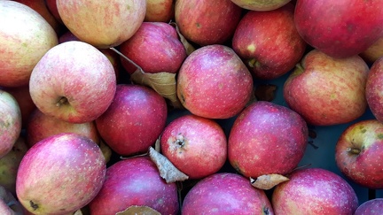 La-Paix Fete Pommes Modave 02-10-2016 02