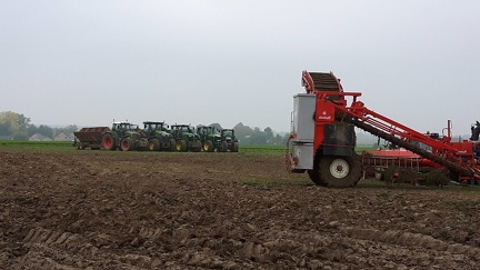 Recolte carottes Hesbaye Fernelmont 20-10-2016 16