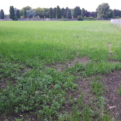 CREAFARM