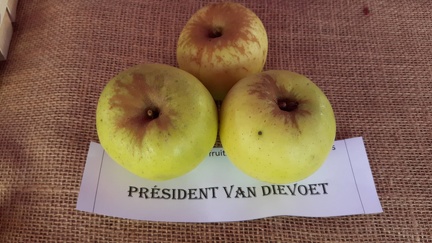 President-van-Dievoet-La-Batte-13-10-2019