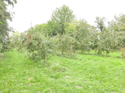 Verger Ecole Horticulture VDL 26-09-21 06