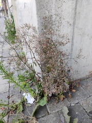  Sprimont 18-07-22 30