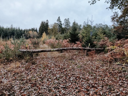 signalisation balisage foret 02